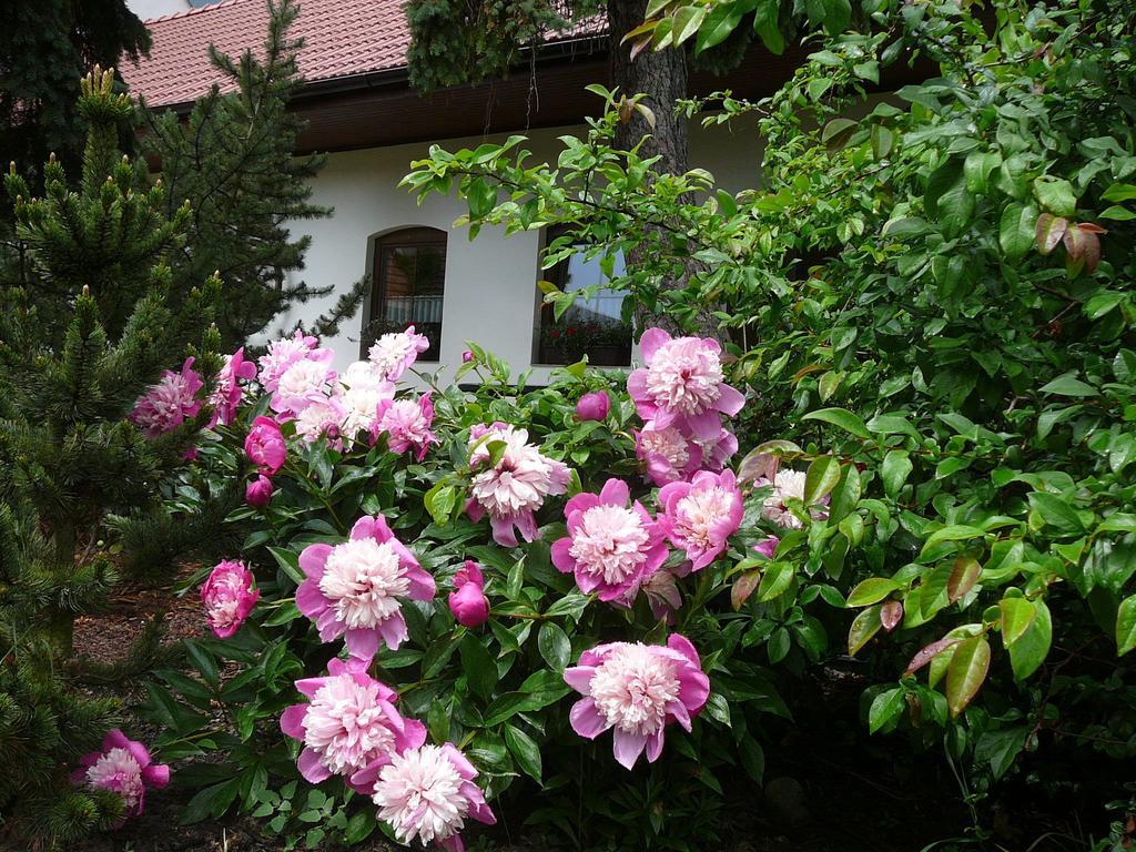 SmrziceLa Ferme De Sissi公寓 外观 照片
